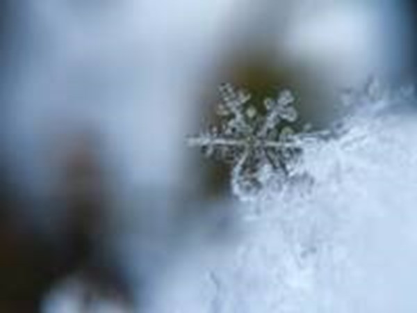 Snöflinga